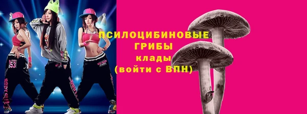 дживик Володарск