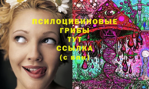 ГАЛЛЮЦИНОГЕННЫЕ ГРИБЫ Верхнеуральск