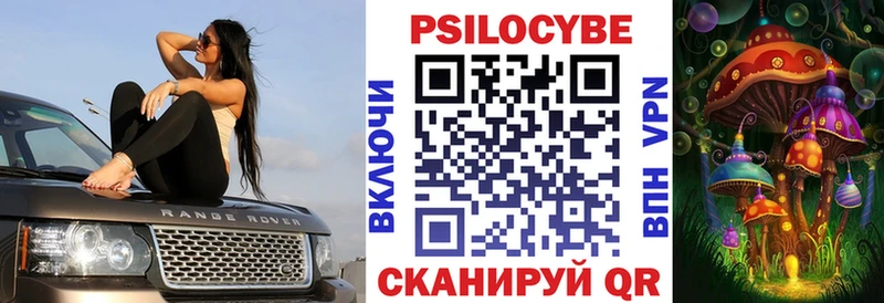 Галлюциногенные грибы Psilocybe  где продают наркотики  Находка 